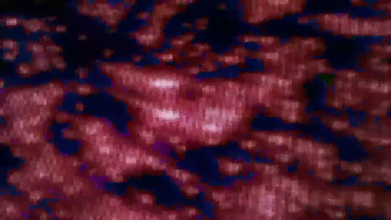 xrnb